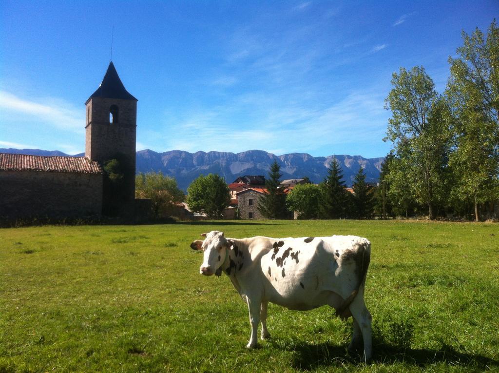 Casa Rural Calrei Guest House Lles Cameră foto